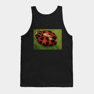 ladybug Tank Top